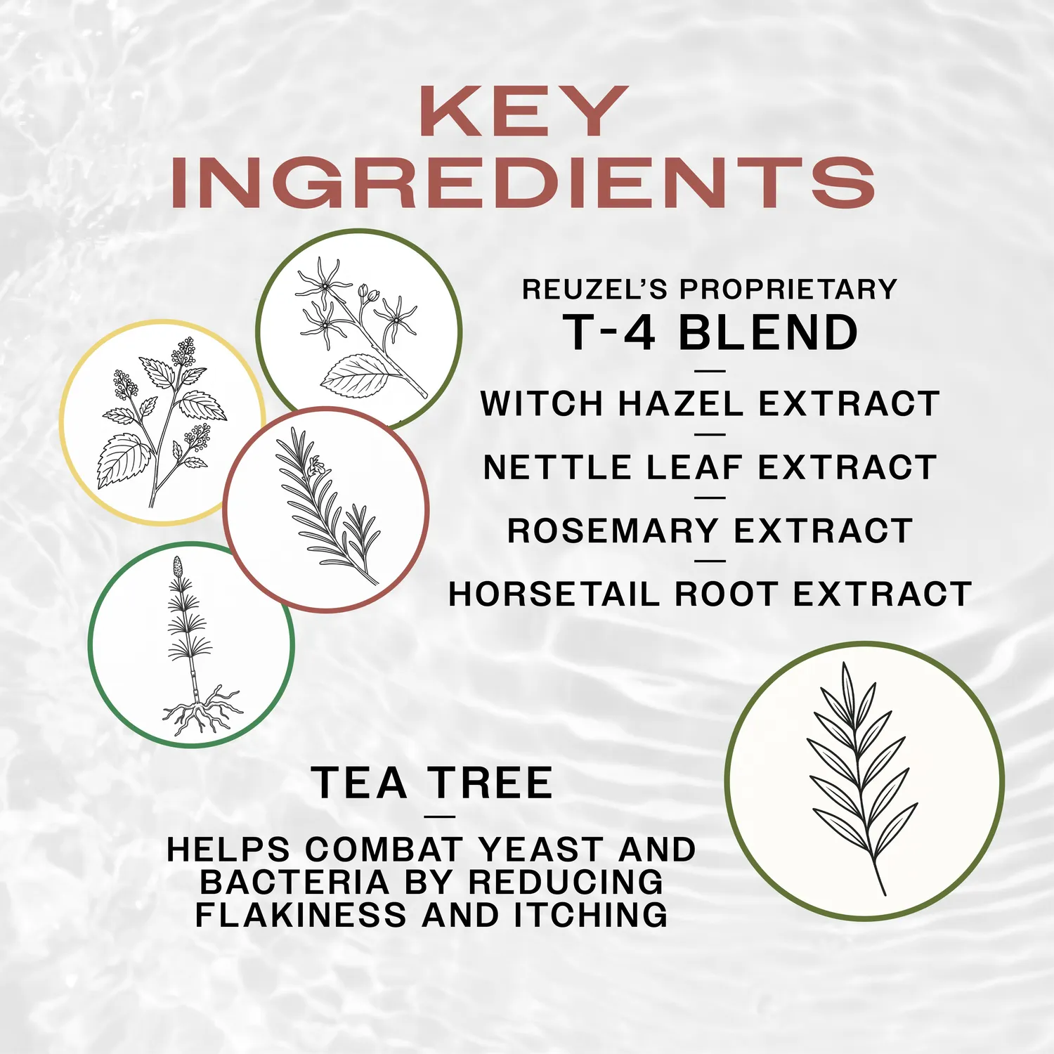 Reuzel 3 in 1 Tea Tree schampo 350ml mint